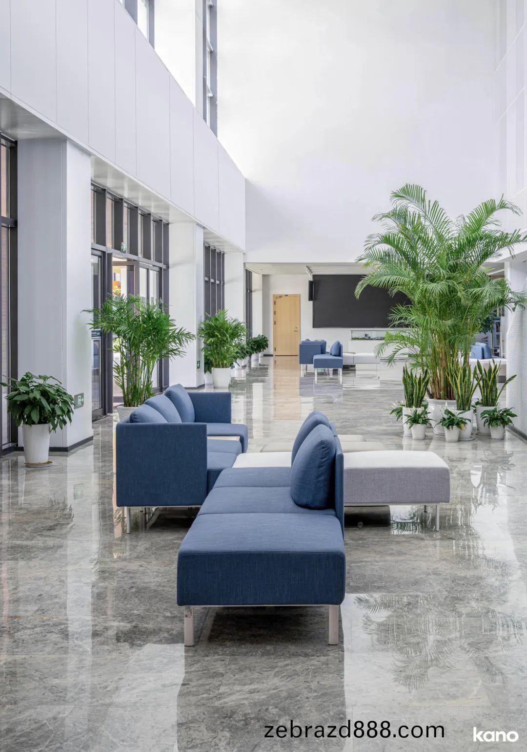 大(da)學(xue)辦(ban)公樓(lou)接(jie)待(dai)沙髮(fa)