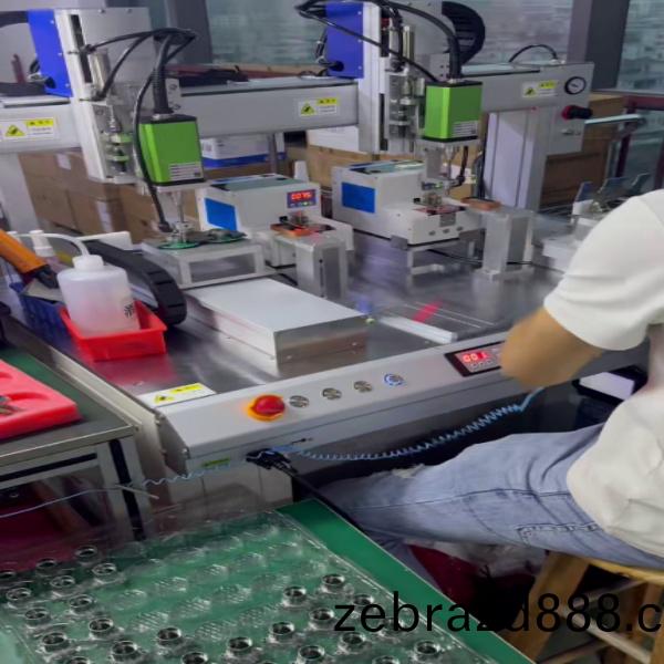 雙(shuang)拼螺(luo)絲機(ji)