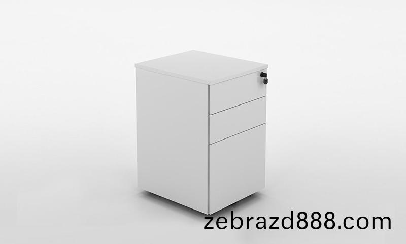 公(gong)司(si)活(huo)動櫃(gui)文(wen)件(jian)矮(ai)櫃