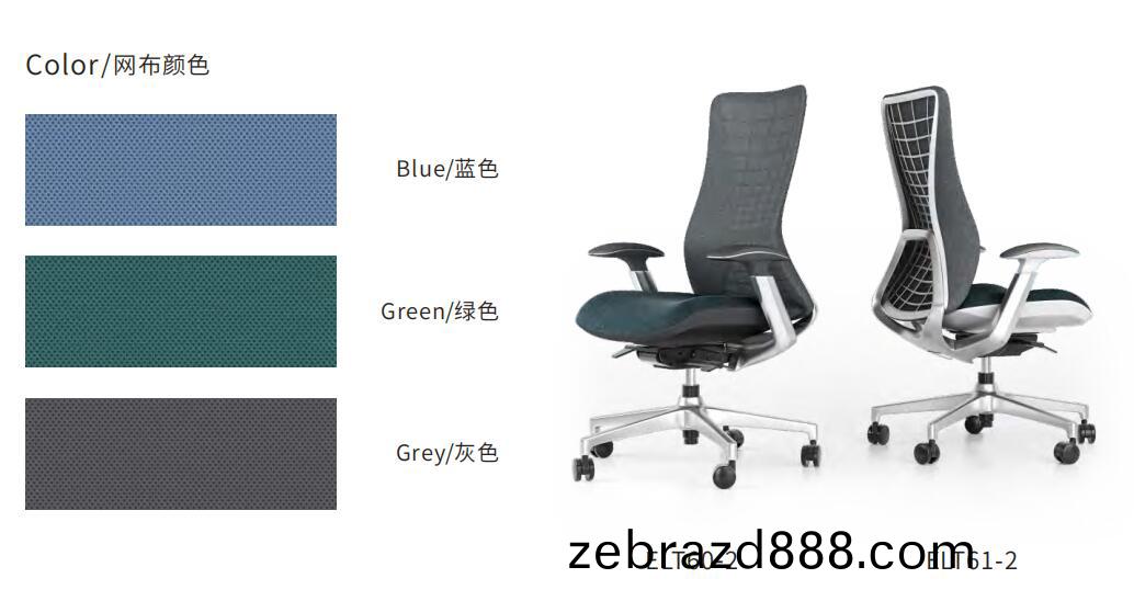 藍(lan)途(tu)係列職(zhi)員(yuan)椅(yi)網佈顔色