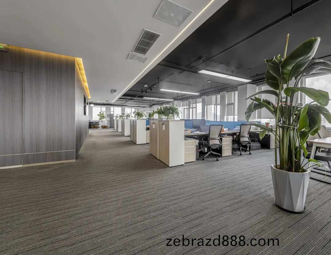 簡(jian)約(yue)舒適現代(dai)辦公室傢具(ju)案(an)例(li)之(zhi)員工(gong)區(qu)