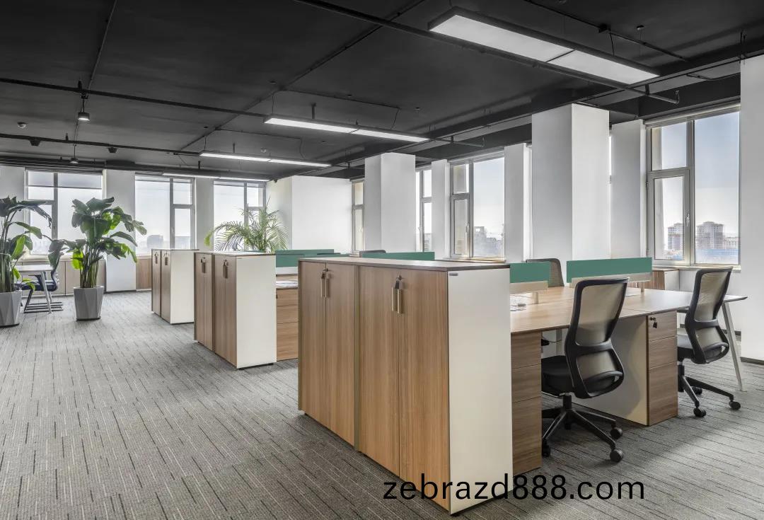 簡約舒(shu)適(shi)現(xian)代(dai)辦公室(shi)傢(jia)具(ju)案例之(zhi)辦(ban)公(gong)室(shi)櫃子(zi)