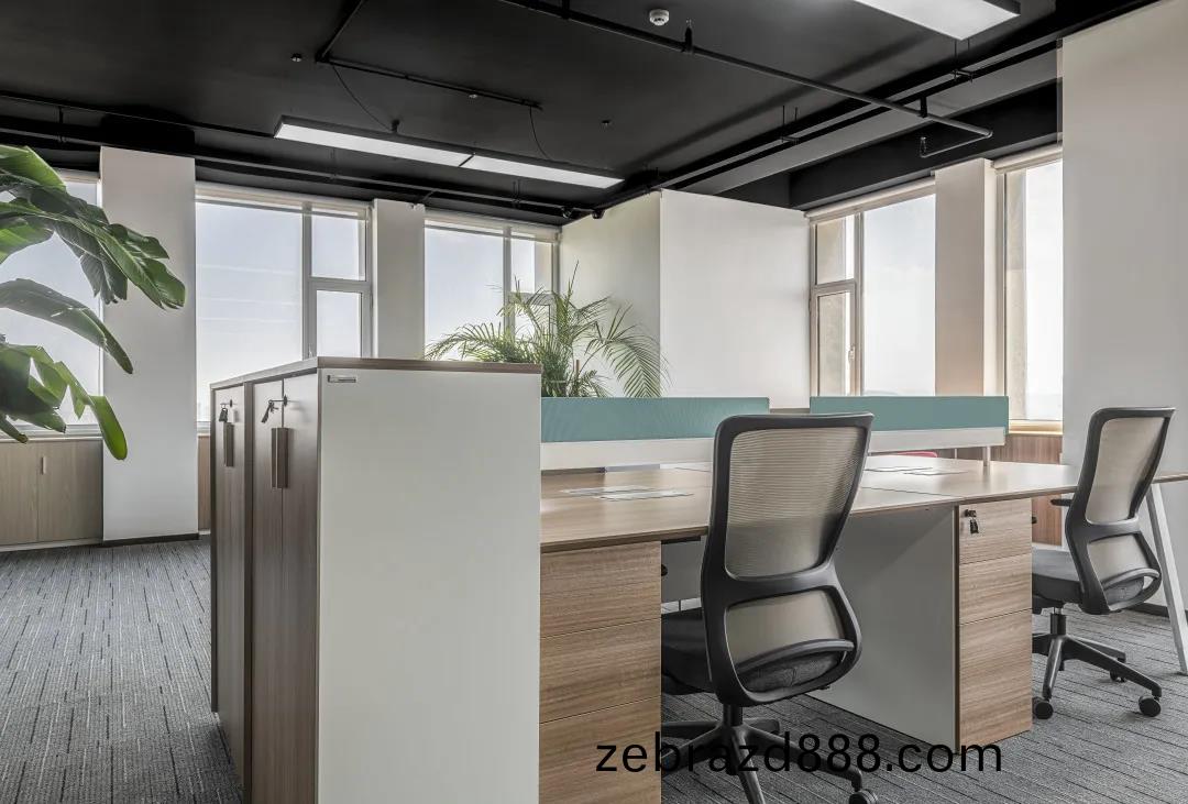 簡(jian)約舒(shu)適(shi)現代辦公(gong)室傢具案(an)例之職(zhi)員椅(yi)子(zi)