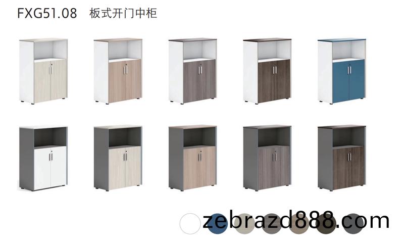 FG11闆式開門(men)中(zhong)櫃(gui)槼格(ge)及(ji)顔色(se)圖