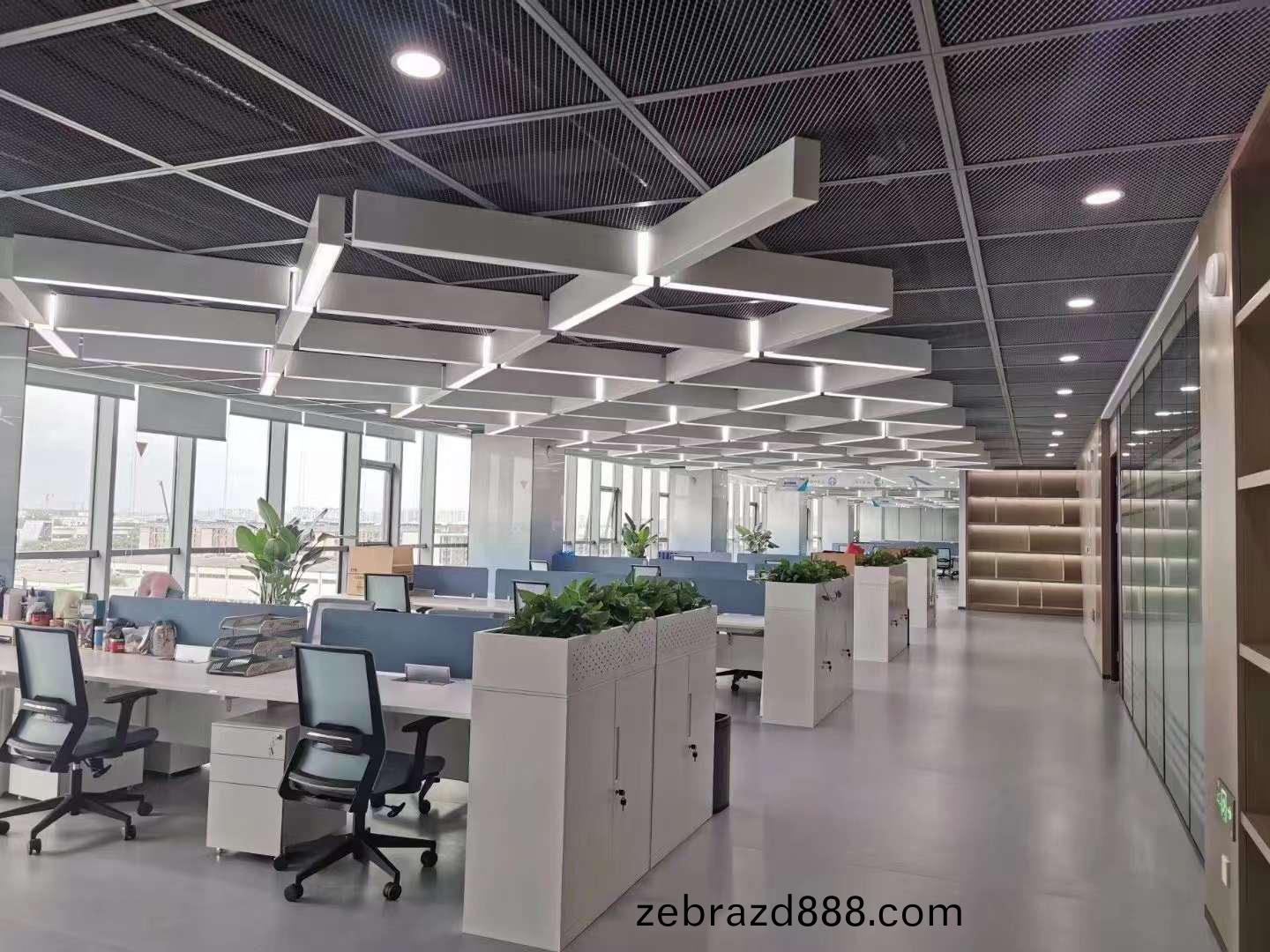 辦(ban)公傢(jia)具(ju)工程案(an)例實拍(pai)