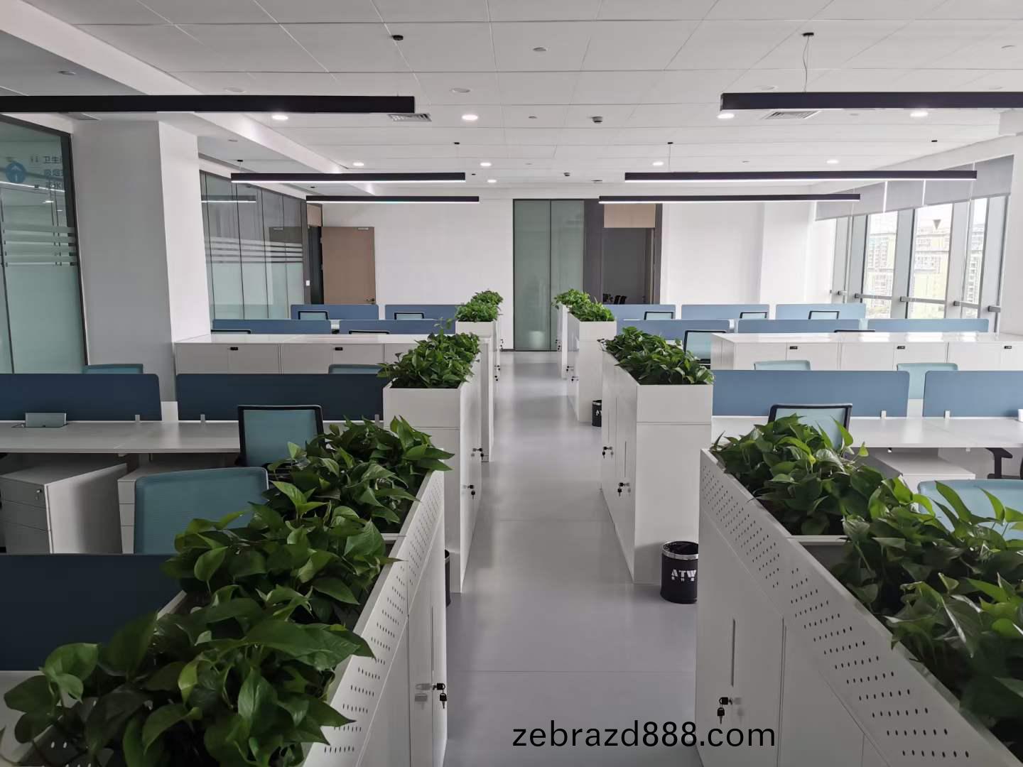 辦公傢(jia)具工(gong)程(cheng)案例員工(gong)槕(zhuo)椅