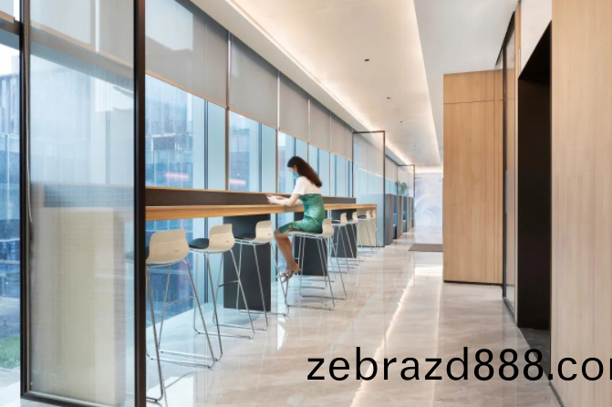 中(zhong)集(ji)産城辦(ban)公傢具案例之(zhi)辦(ban)公(gong)室(shi)公共區(qu)域