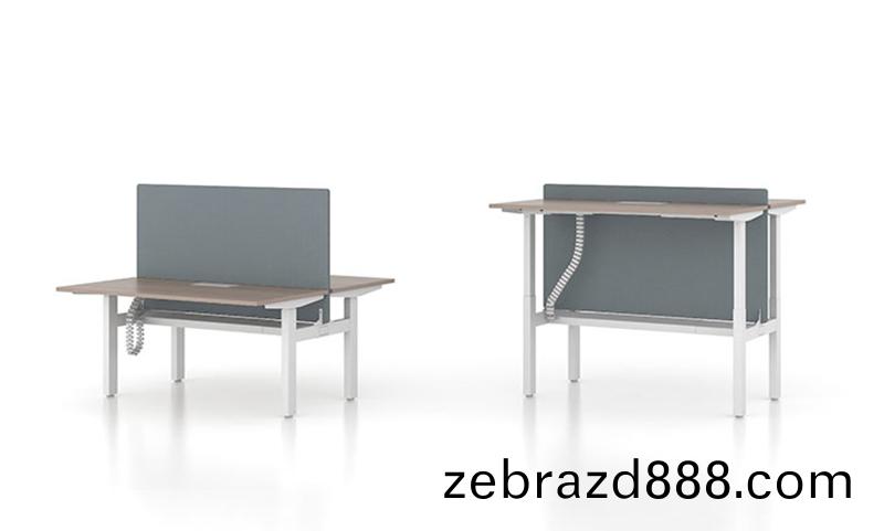 雙(shuang)電(dian)機陞(sheng)降工位(wei)