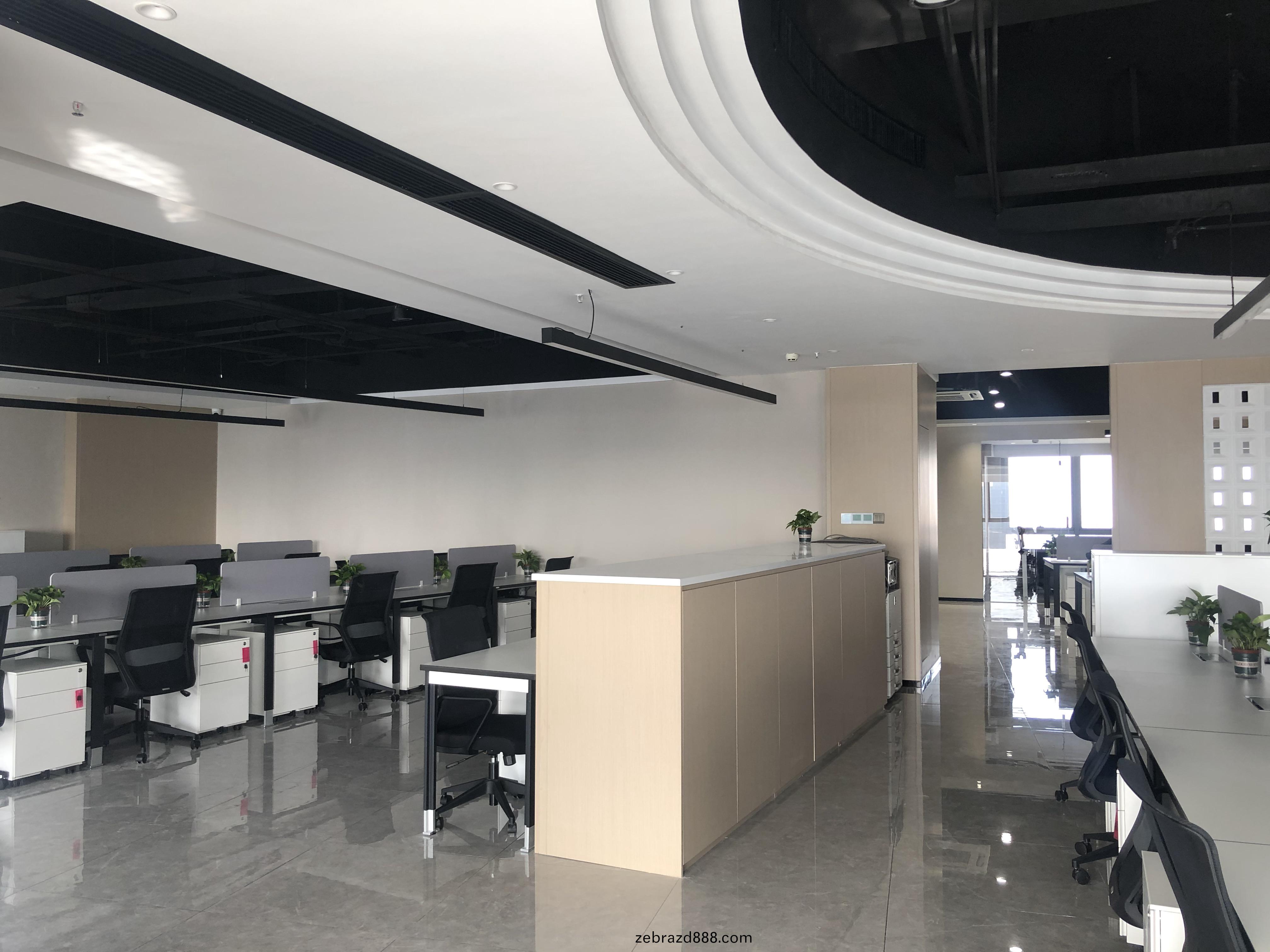 傢具公(gong)司辦公(gong)傢具(ju)配(pei)套案例(li)之隔(ge)斷文(wen)件(jian)櫃(gui)