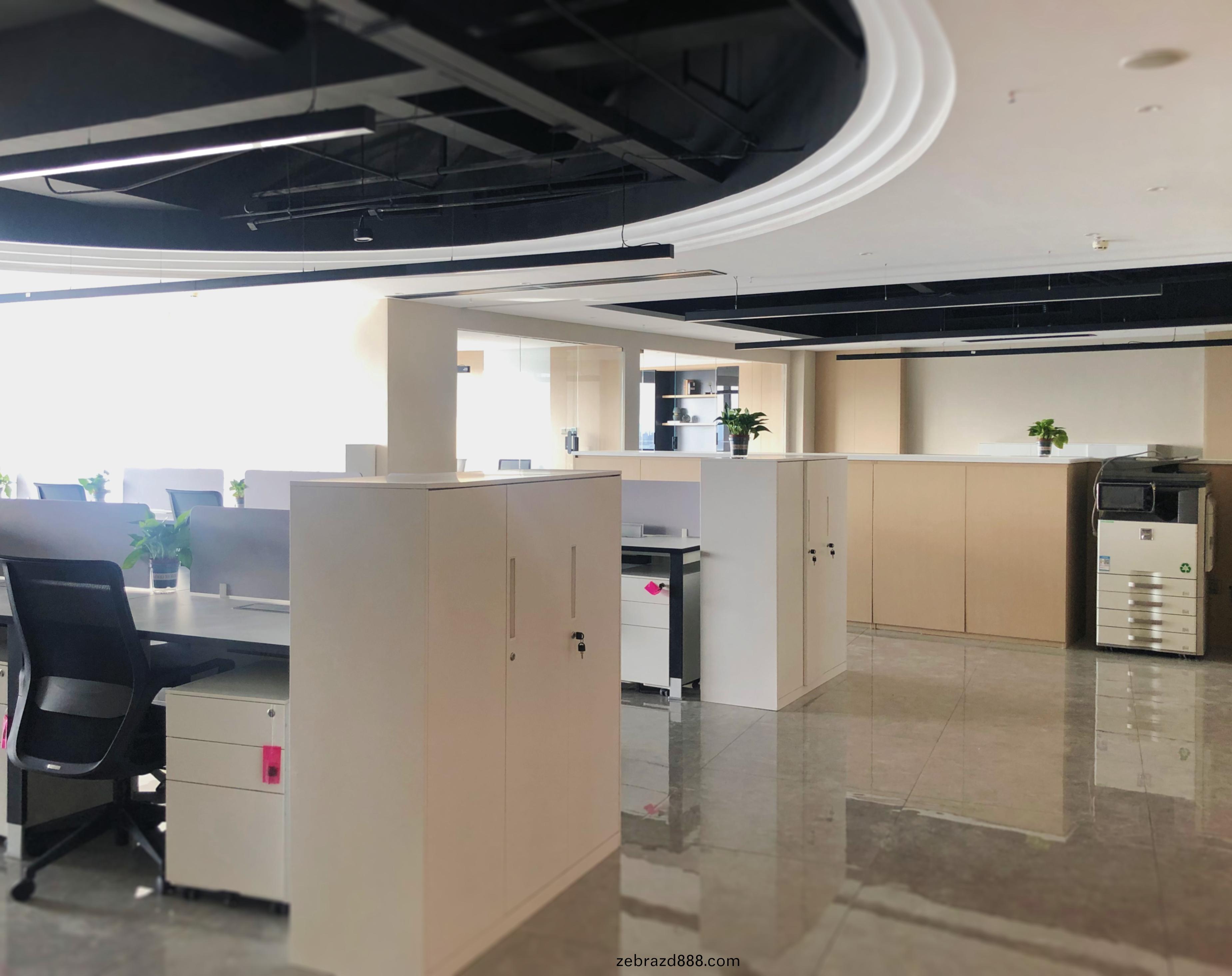 傢(jia)具(ju)公司(si)辦公(gong)傢具配(pei)套(tao)案例之(zhi)文(wen)件(jian)櫃(gui)