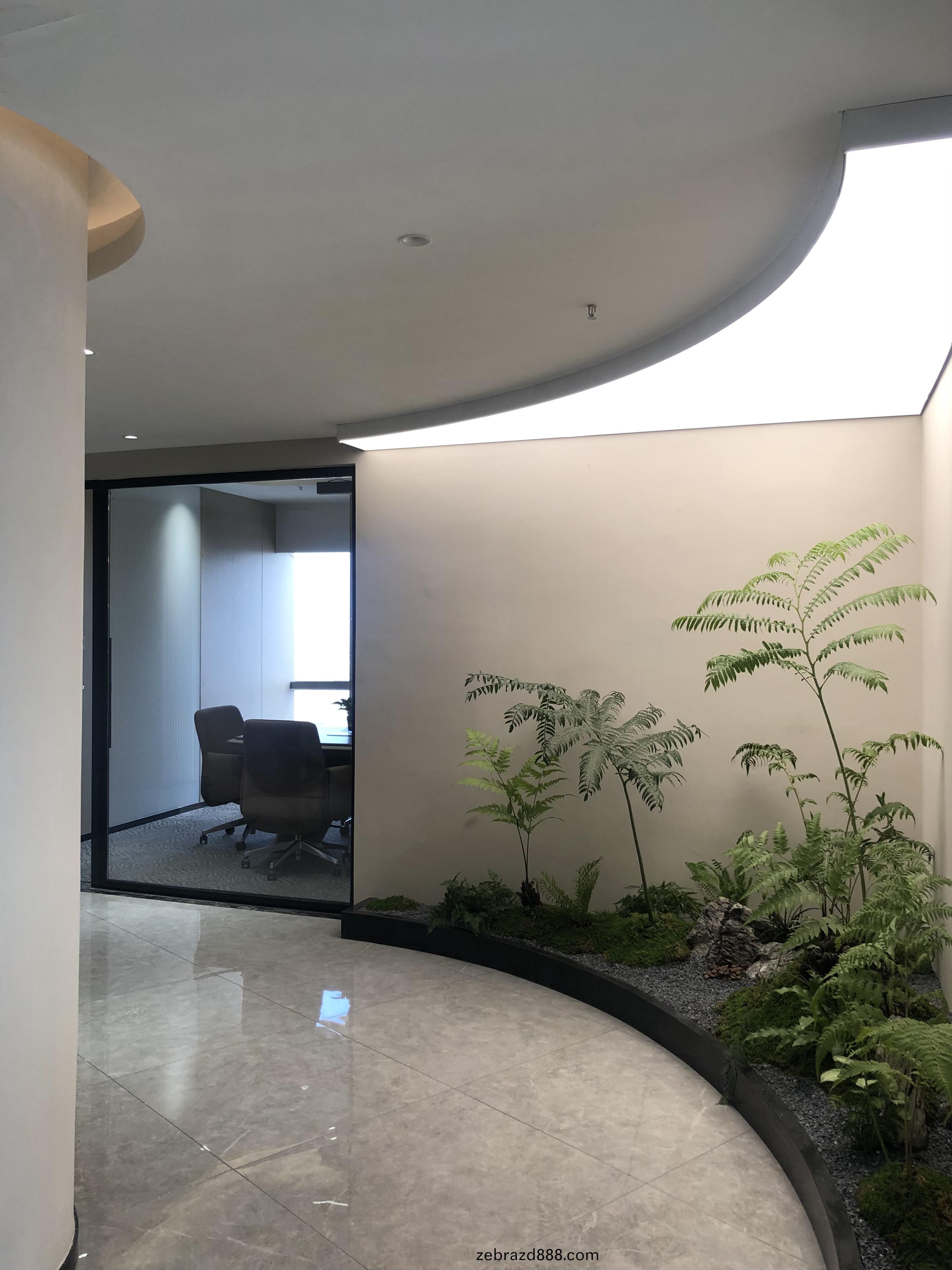 傢(jia)具(ju)公司辦(ban)公(gong)傢(jia)具(ju)配(pei)套(tao)案(an)例(li)之(zhi)公司綠植