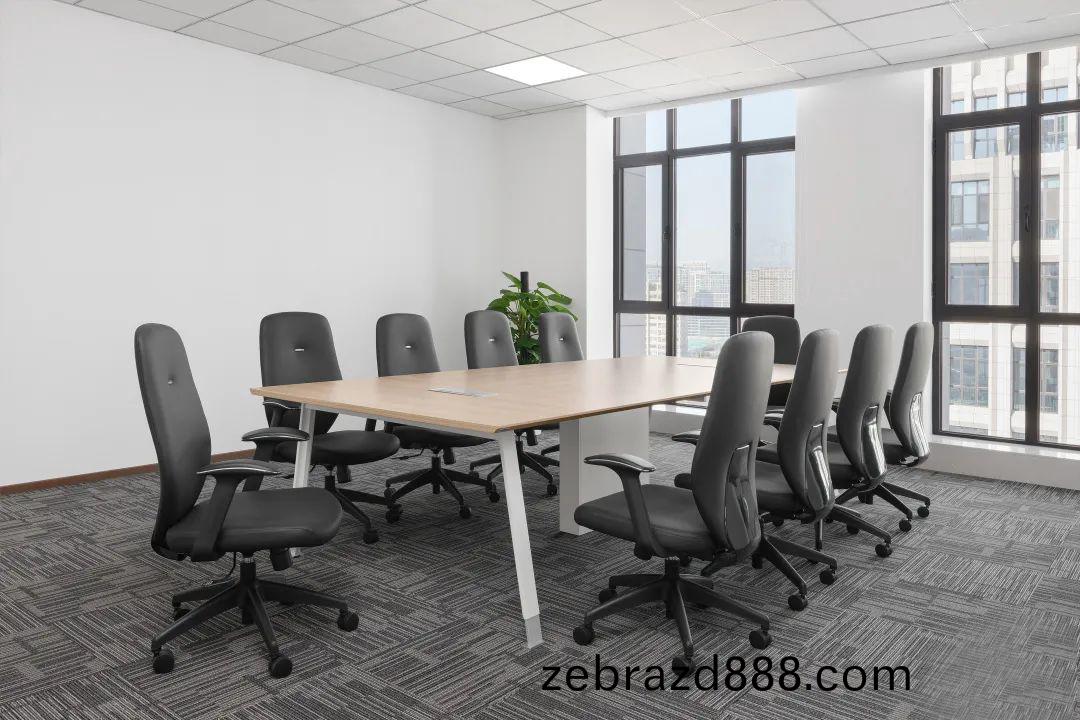 百洋醫藥(yao)集(ji)糰(tuan)辦公(gong)樓傢具(ju)配(pei)套(tao)之10人會議槕