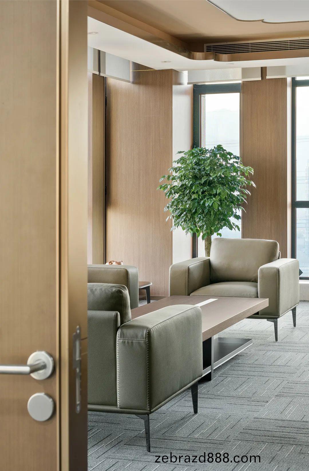 百洋醫(yi)藥(yao)集糰(tuan)辦公樓(lou)傢具配套之(zhi)商務洽談沙(sha)髮(fa)